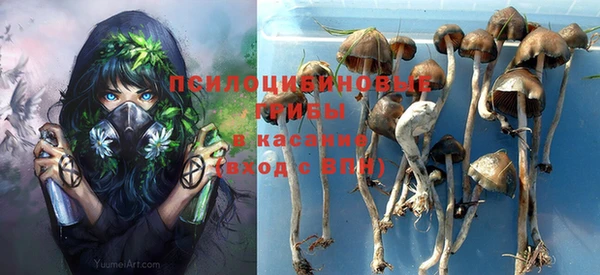 шишки Мегион