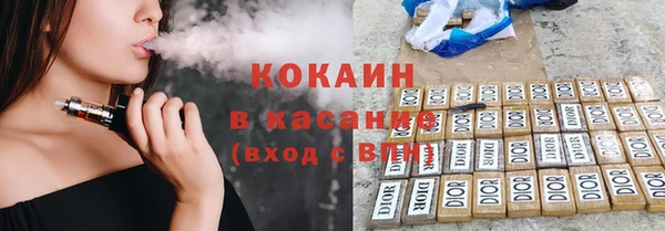 шишки Мегион