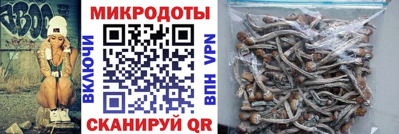 Галлюциногенные грибы мицелий  Купить закладки  Кораблино 